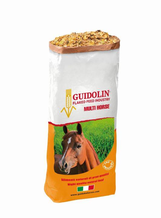 multi_horse